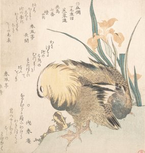 Paar mandarijneenden en irisbloemen door Kubo Shunman
