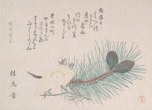 Pijnbomen en kersenbloesems, waarschijnlijk 1814 door Kubo Shunman