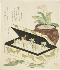 Sleutelbloemen