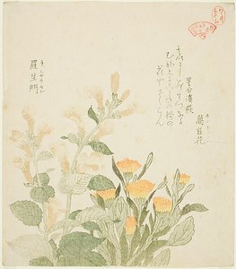 De goudsbloem en de Rajomanbloemen door Kubo Shunman