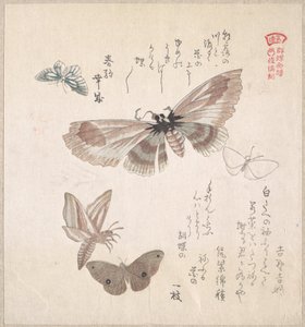  door Kubo Shunman