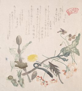 Viooltjes, sleutelbloemen en andere lentebloemen, 19e eeuw door Kubo Shunman