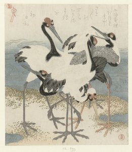 Vijf kraanvogels door Kubota Shunman