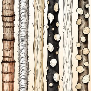 Boomstamsecties, boho-clipart, boho-tekenpatroon, boho-stam 1