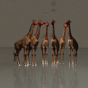 Giraffen in harmonie door Kurt Heppke