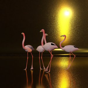 Rondhangen op de vlakte in de nacht