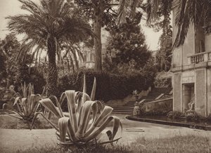 Rome: In de Vaticaanse Tuin door Kurt Hielscher