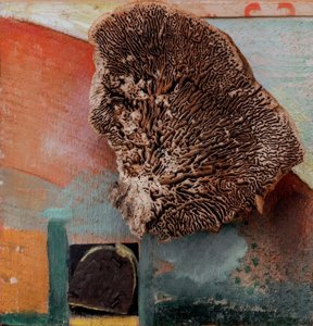 Zonder titel (Merzbeeld met koraal) door Kurt Schwitters