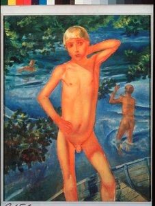 Jongens die baden