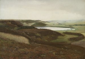 Een Landschap bij Bryrup, Jutland