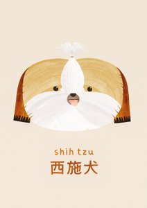 Shih tzu, 2019 door Léa Le Pivert