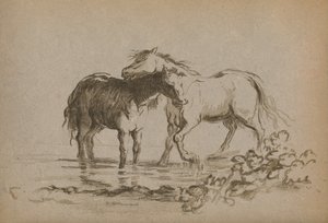Paarden, 1903