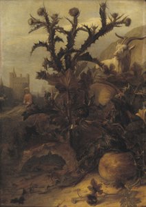 Distel, pompoen en een geit