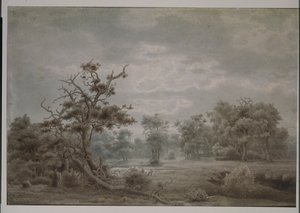 Boslandschap uit Düsseldorf