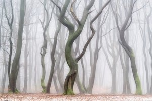  door Lars van de Goor †