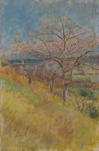 Vallei met bloeiende bomen, 1890-1900 door Laszlo Mednyanszky