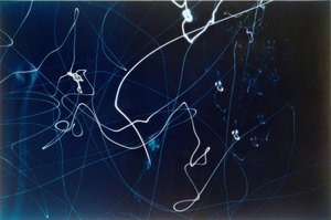 Zonder titel (3 opnames van verkeerslichten) door Laszlo Moholy Nagy