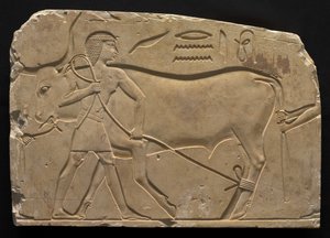 Mannen die een os vastbinden door Late Period Egyptian