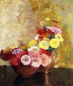 Zinnia