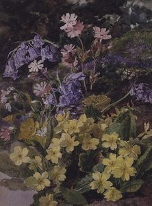 Studie van Bloemen