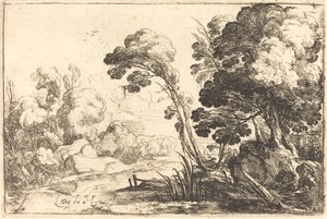 Bosrijk landschap met een rivier