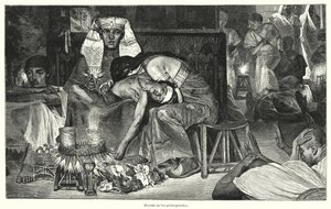 Dood van de eerstgeborene: de laatste van de tien plagen van Egypte