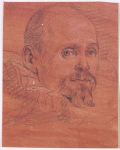 Mannenportret