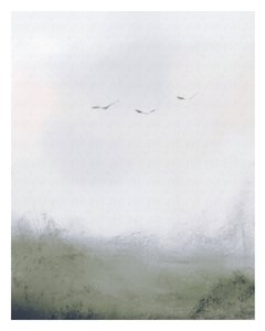 Vogels vliegen over een veld, c.2018