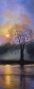Bushy Park Schemering, 2016