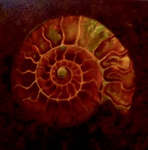Rode/Gouden ammoniet, 2020