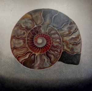 Zilveren Ammoniet