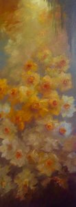 Hoge Narcissen