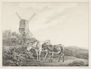 Twee ezels in een landschap bij een molen door Leendert de Koningh
