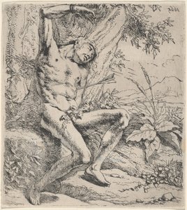 Sint Sebastiaan door Leendert van der Cooghen