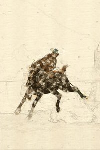 Western-broncoruiter