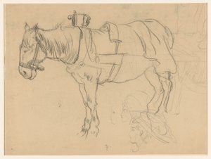 Aangespannen paard en kopstudies