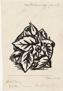 Bloemen door Leo Gestel