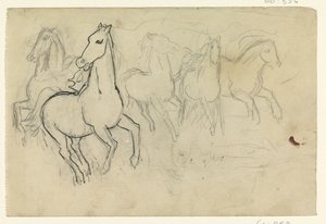 Galopperende paarden