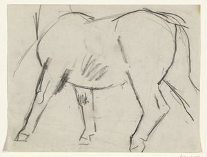 Lichaam van een paard