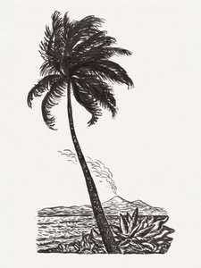 Palmboom met een eiland (ca. 1891–1941)