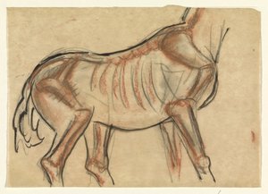 Skelet van een paard door Leo Gestel
