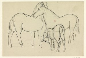 Twee paarden en een veulen