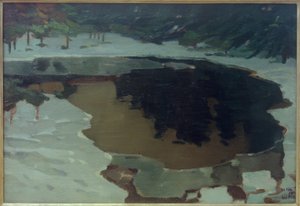 Moerasmeer in de winter