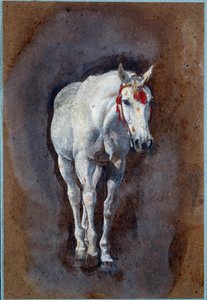 Een paard (tekening)