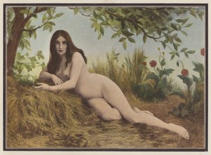 Zomer, vrouw liggend in het hooi