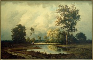Landschap met vijver
