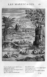 Moeras, 1615
