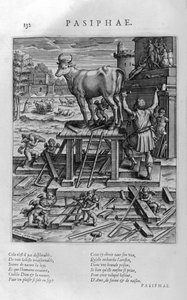 Pasiphae, moeder van de minotaurus