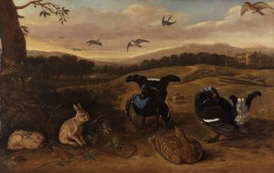 Zwart Wild, Konijnen en Zwaluwen in een Park door Leonard Knyff