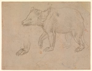 Een wandelende beer door Leonardo da Vinci